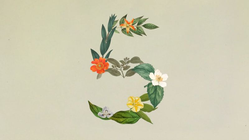 Anthropic Claude Sonnet 5 announcement artwork