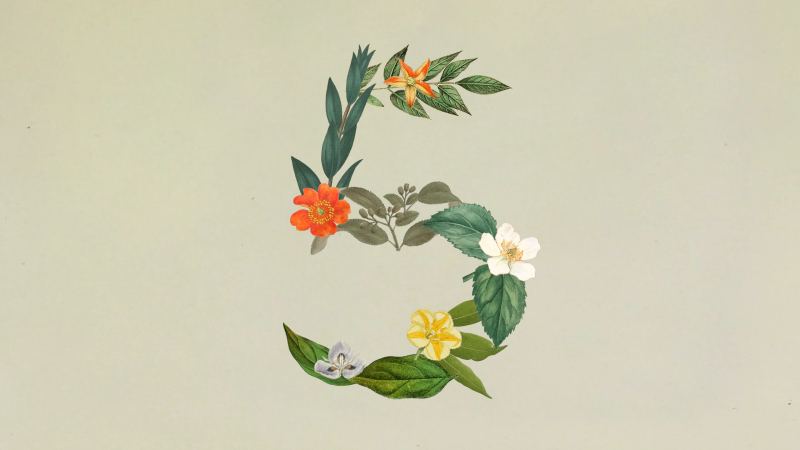 Anthropic Claude Sonnet 5 Ankündigungsgrafik