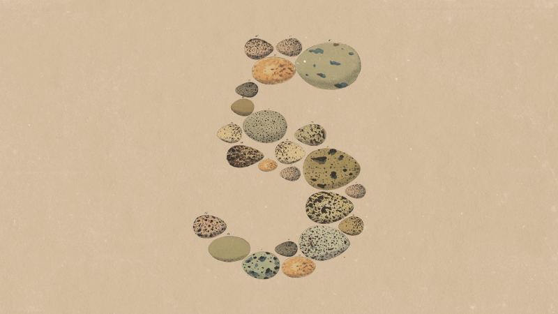 Abstract Claude Opus 5 launch artwork from Anthropic.