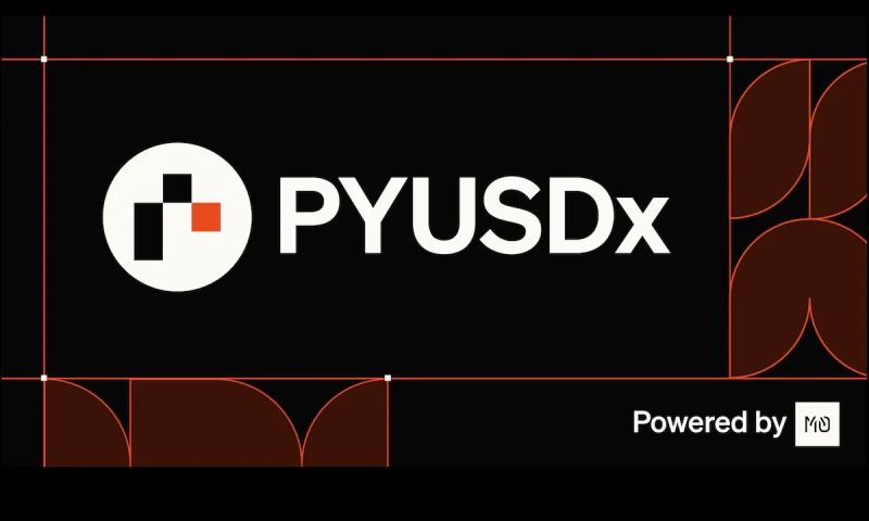 PayPal enterprise stablecoin developer portal and PYUSD digital asset payment gateway.