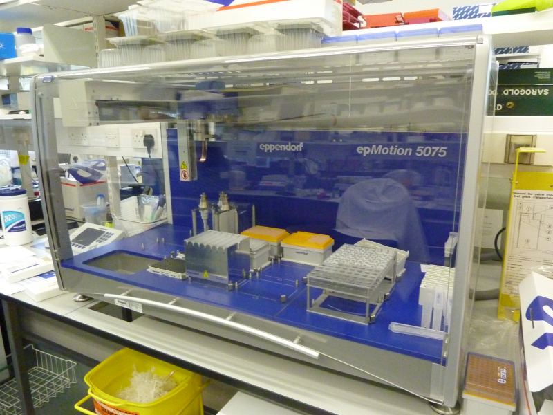 Automated liquid handling robotic workstation used for precise biological sample distribution in laboratory automation