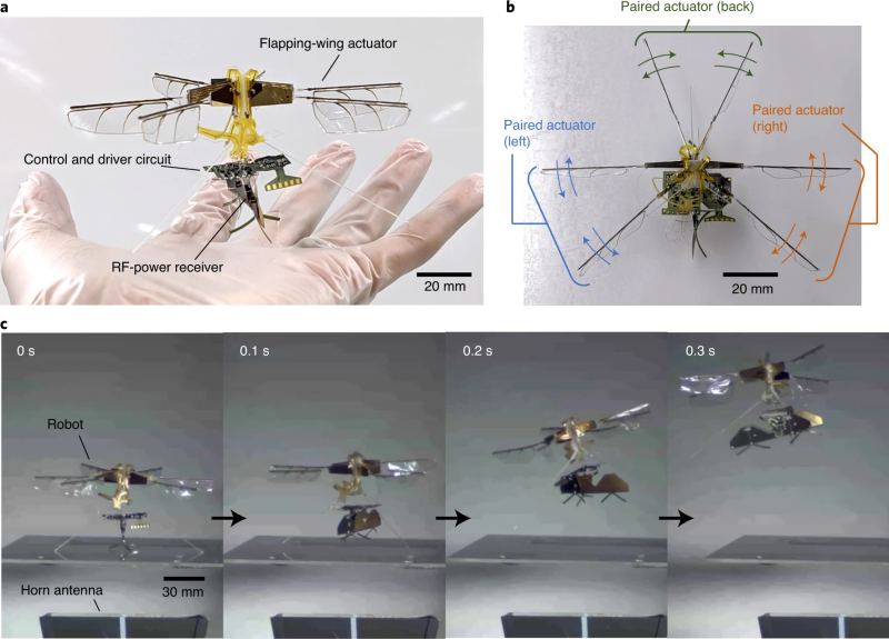 High-magnification view of an insect-scale flapping-wing micro aerial vehicle prototype