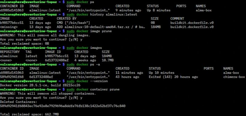 Command line interface running Docker container and daemon execution commands