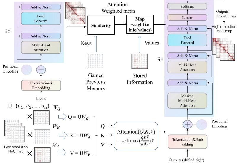 High-dimensional neural representation and Transformer network architecture diagram illustrating semantic vector embedding pipelines