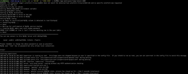 Command-line developer terminal starting containerized runtime instances and developer software environments