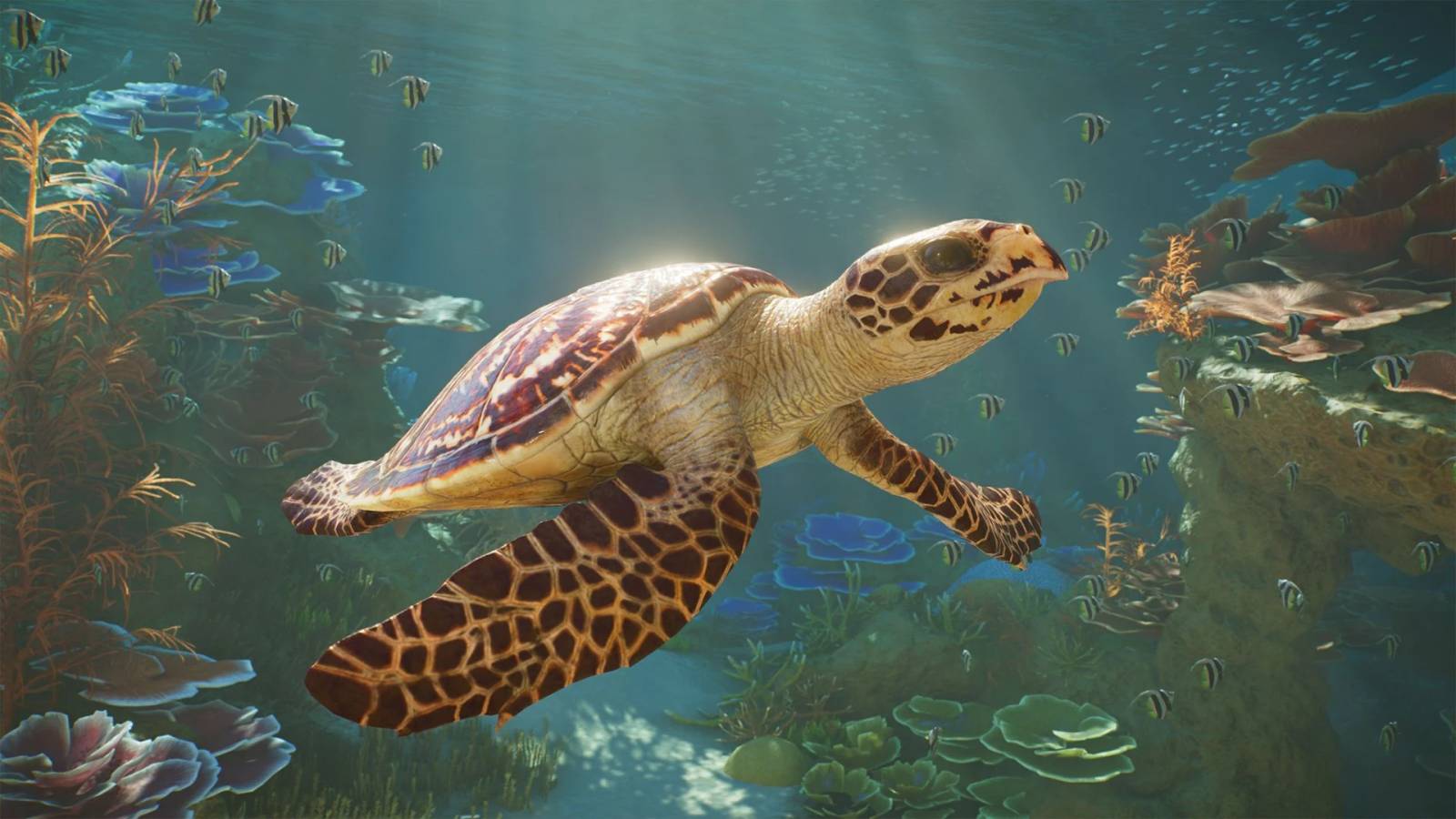 Planet Zoo 2 aquarium habitat and management interface