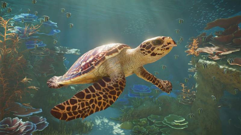 Planet Zoo 2 aquarium habitat and management interface