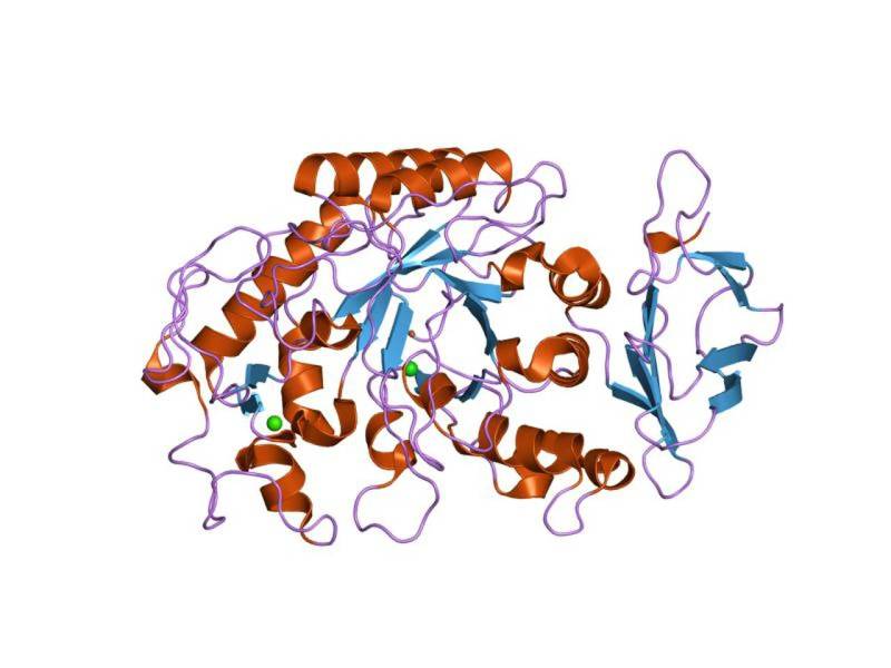 Protein crystallization rendering depicting biomolecular structure predictions generated by AlphaFold.
