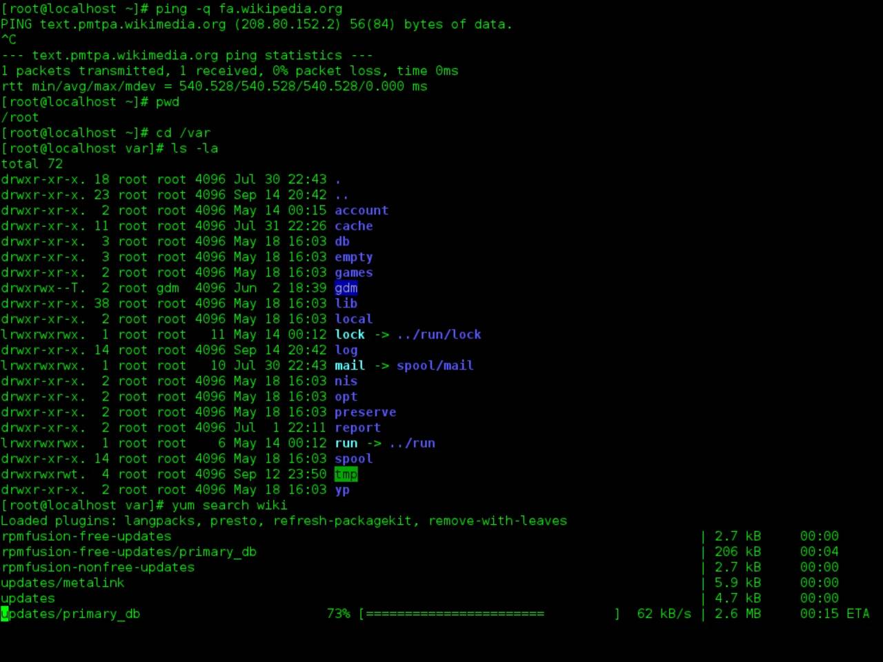 Linux operating system command-line terminal window running bash shell utilities, illustrating kernel-level system control and developer administrative tools.