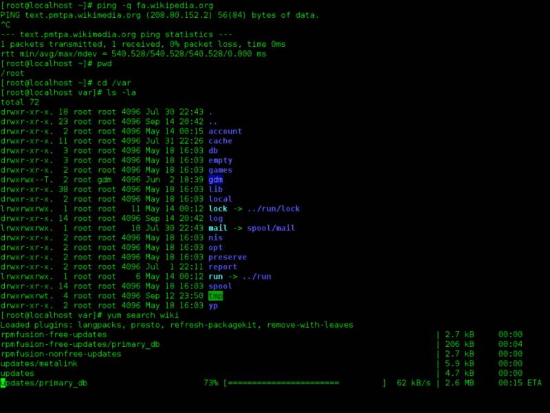 Linux operating system command-line terminal window running bash shell utilities, illustrating kernel-level system control and developer administrative tools.