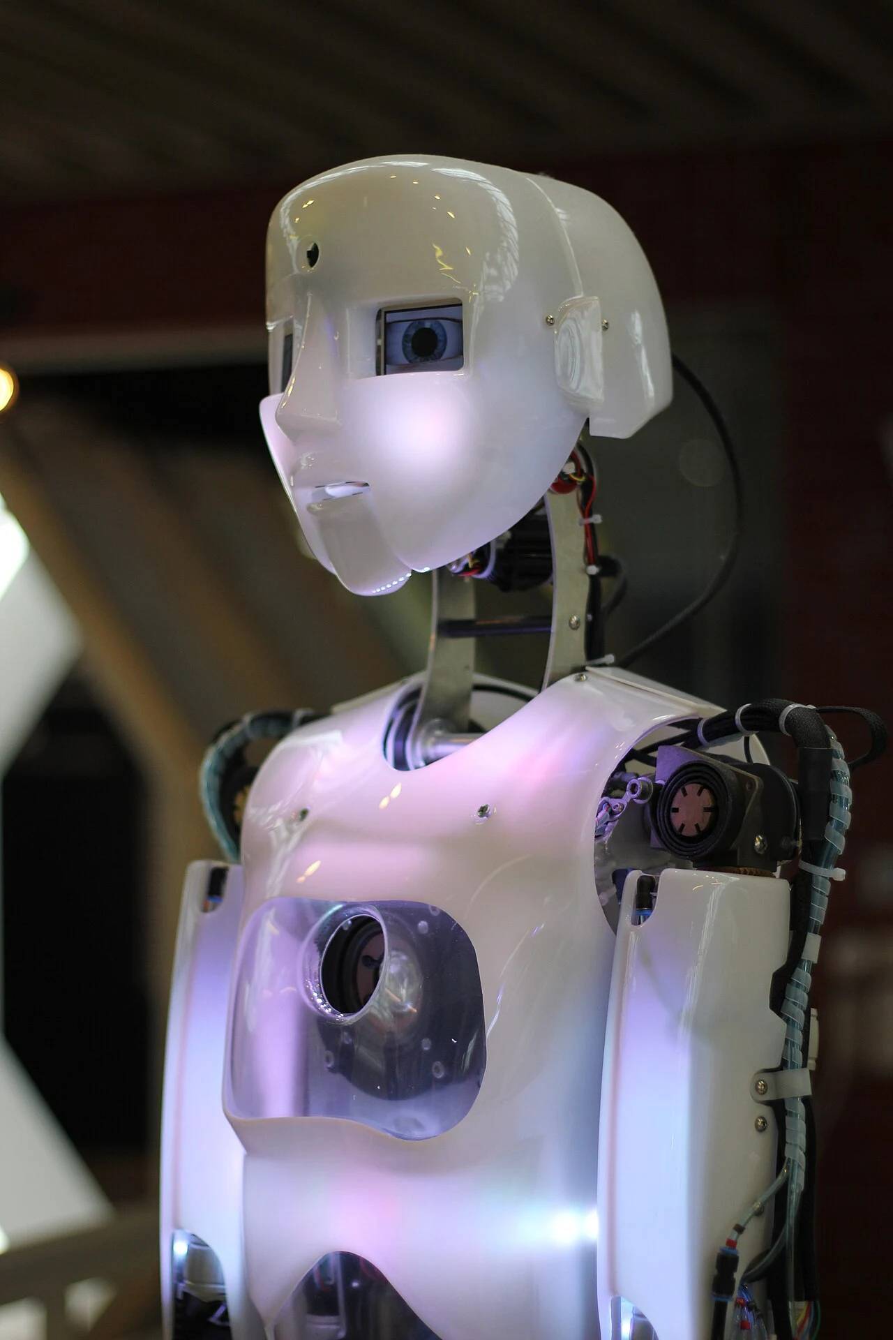 Autonomous Humanoid Bipedal Robotic System Exhibition.