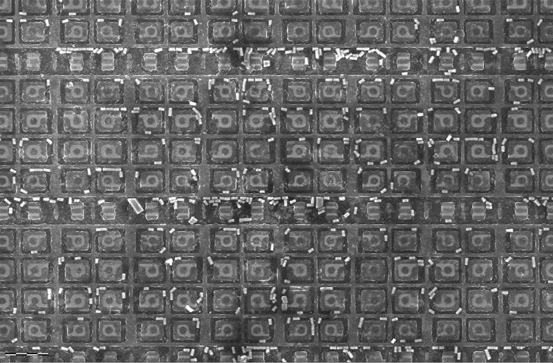 Scanning electron microscope cross-section revealing sub-micron semiconductor circuitry and lithographic cell architectures.